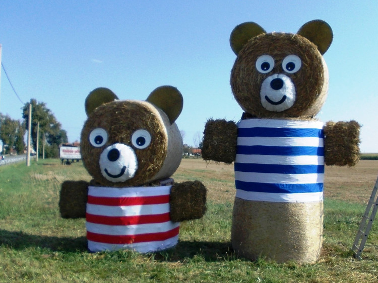 2012, Medvědi od Kolína