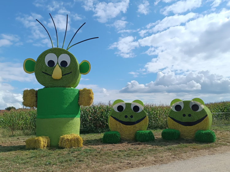 2025, Rákosníček a dvě žabky