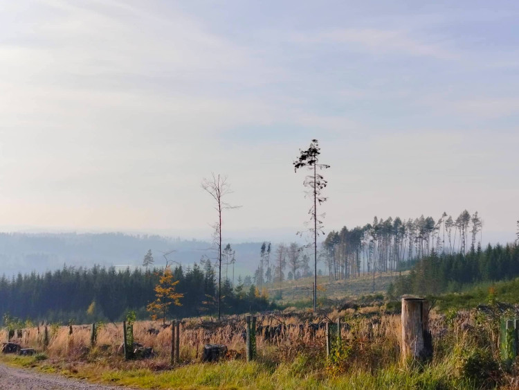 Podzim na Špičáku
