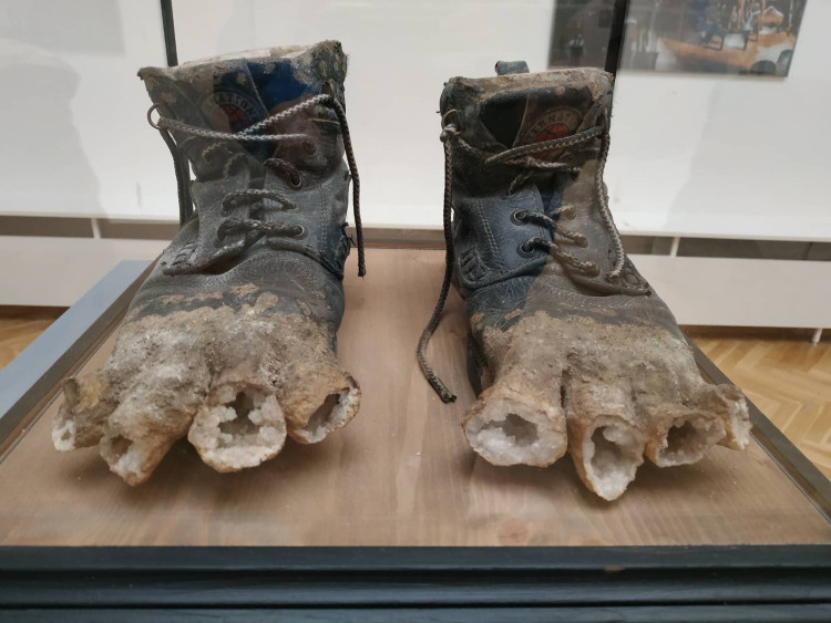 FOTOGALERIE: Kunstkamera Jana Švankmajera v Prostějově