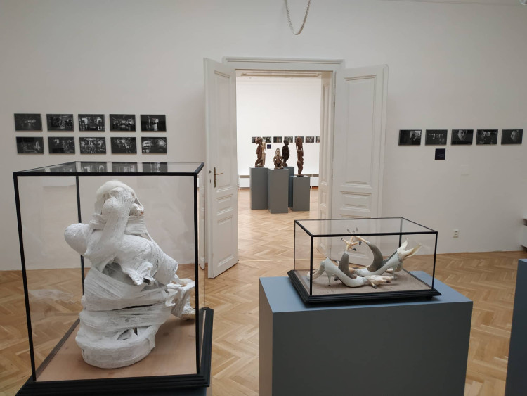 FOTOGALERIE: Kunstkamera Jana Švankmajera v Prostějově