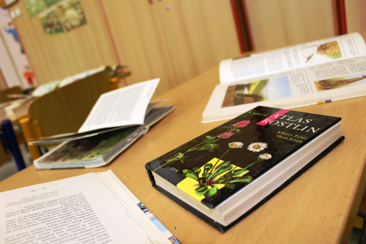 ZŠ Seifertova v Jihlavě slaví 50 let