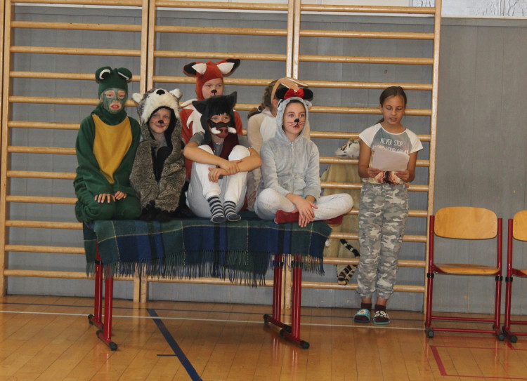 ZŠ Seifertova v Jihlavě slaví 50 let