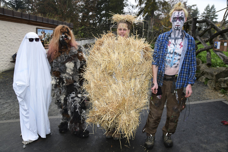 FOTOGALERIE: Strašidelnou Zoo si na Svatém Kopečku užily tisíce lidí