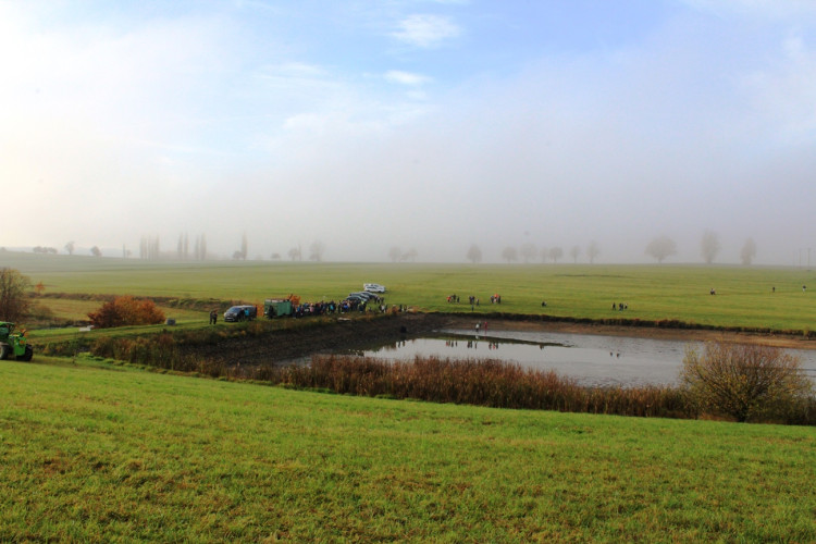Výlov rybníka u Zborné