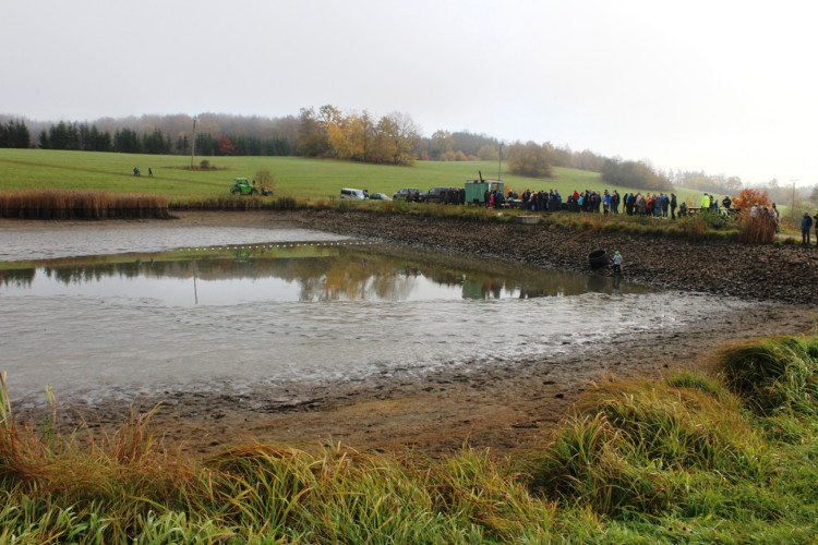 Výlov rybníka u Zborné