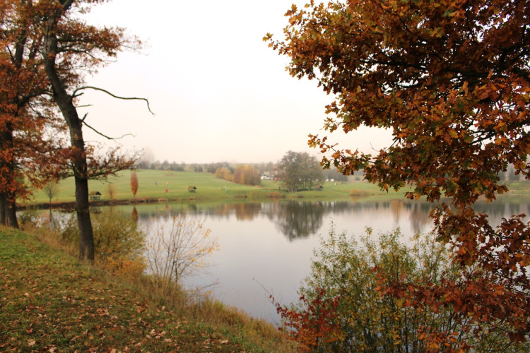 Výlov rybníka u Zborné