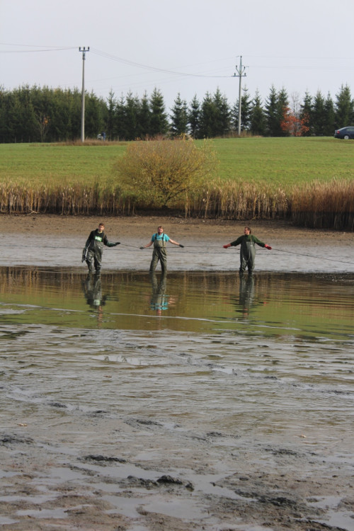 Výlov rybníka u Zborné