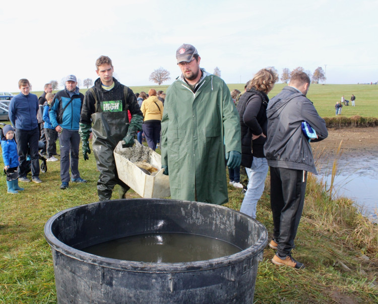Výlov rybníka u Zborné