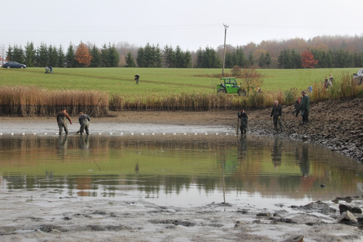 Výlov rybníka u Zborné