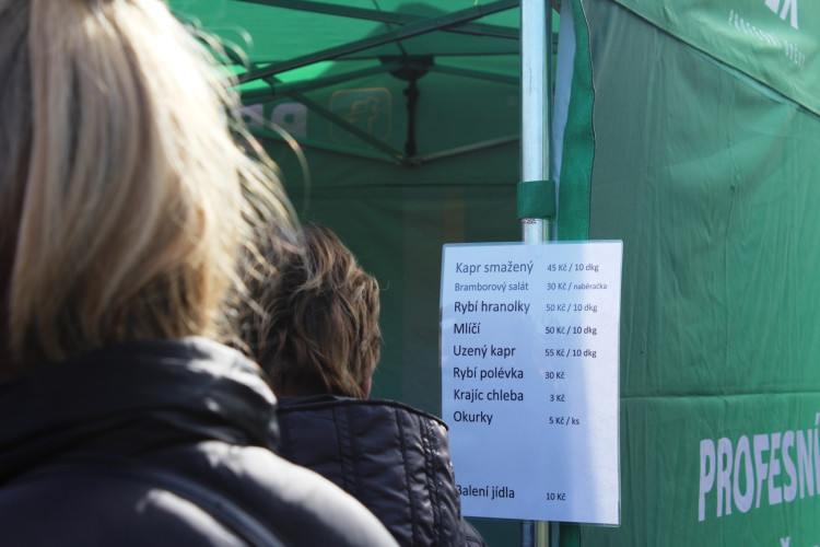 Výlov rybníka u Zborné