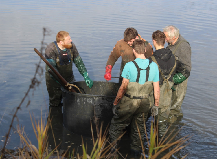 Výlov rybníka u Zborné