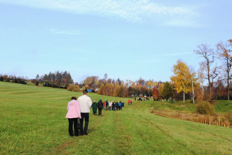 Výlov rybníka u Zborné