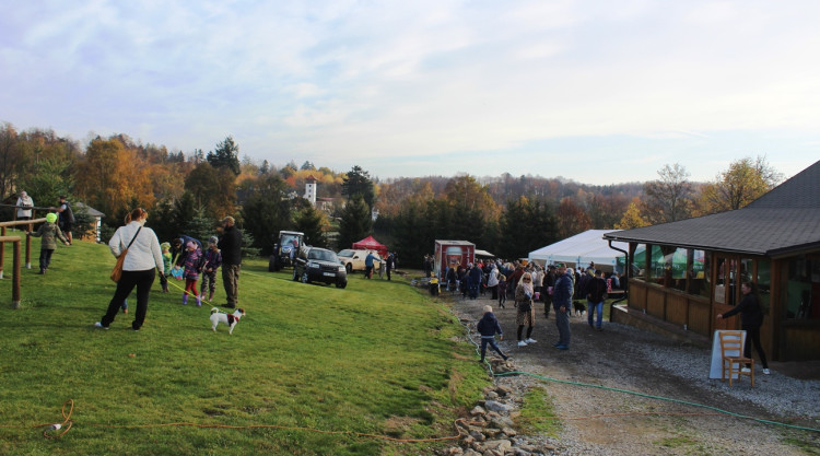 Výlov rybníka u Zborné