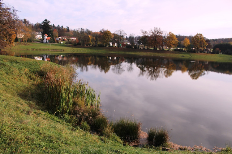 Výlov rybníka u Zborné