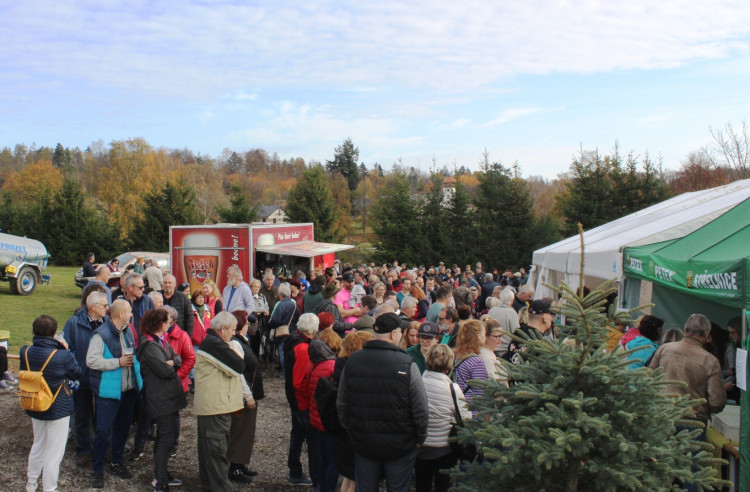 Výlov rybníka u Zborné