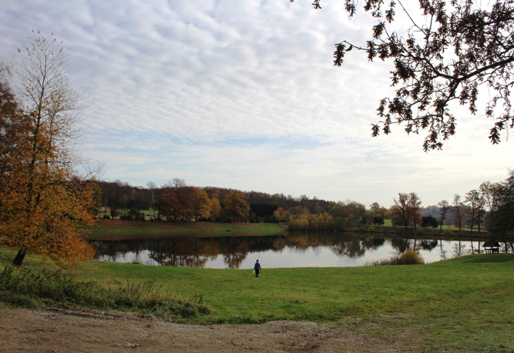 Výlov rybníka u Zborné