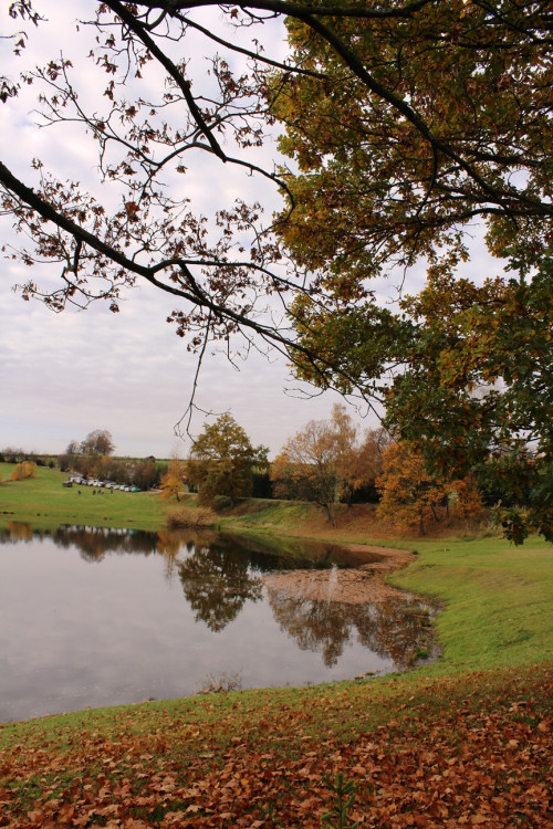 Výlov rybníka u Zborné