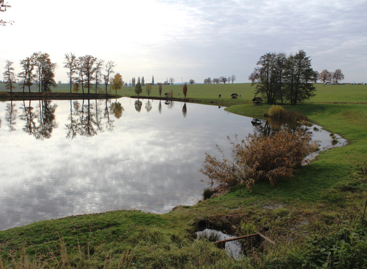 Výlov rybníka u Zborné