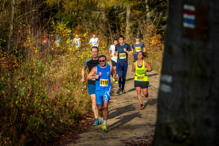 Běžecký závod Janovských 11 a 19 km 2022