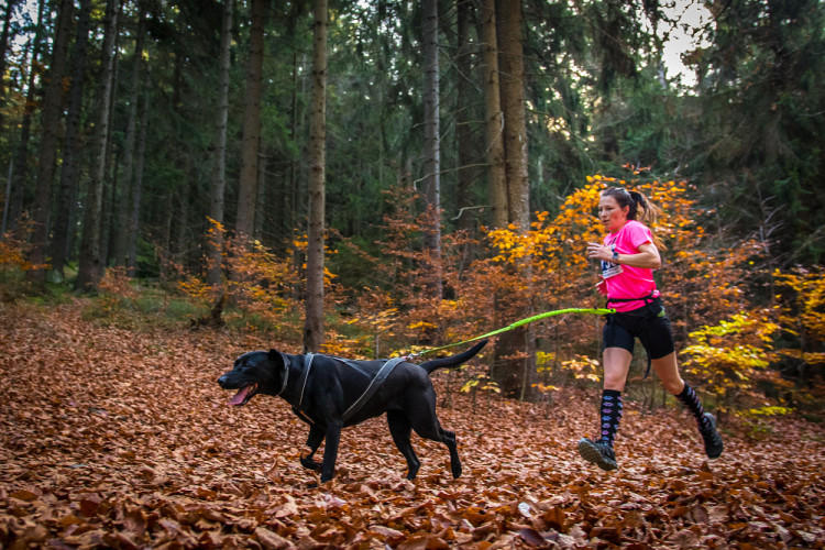 Běžecký závod Janovských 11 a 19 km 2022