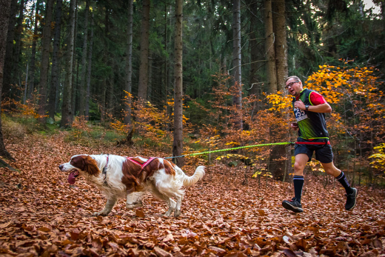Běžecký závod Janovských 11 a 19 km 2022