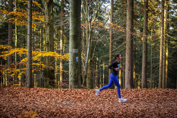 Běžecký závod Janovských 11 a 19 km 2022