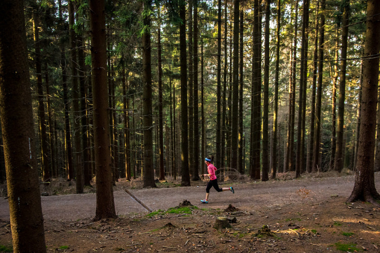 Běžecký závod Janovských 11 a 19 km 2022