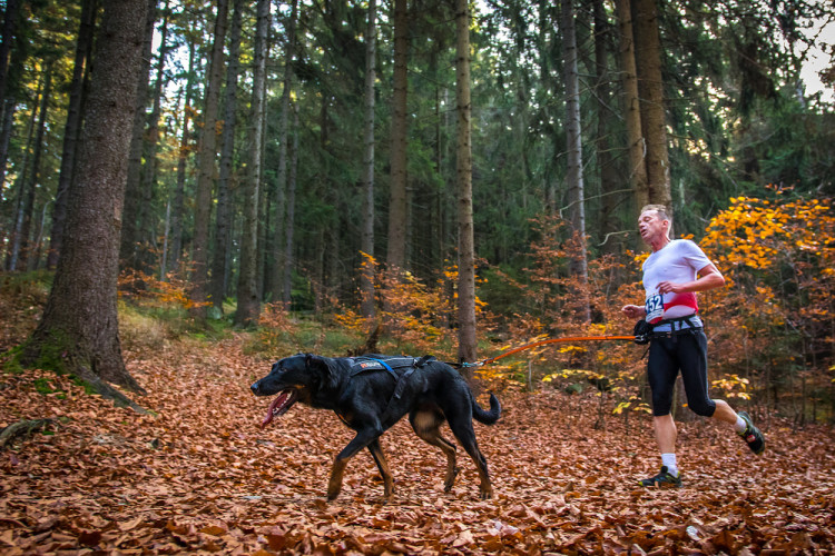 Běžecký závod Janovských 11 a 19 km 2022