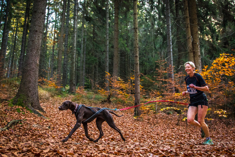 Běžecký závod Janovských 11 a 19 km 2022
