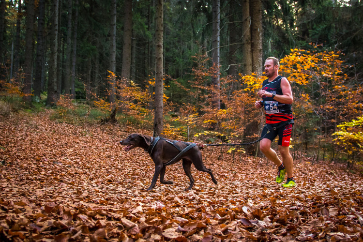 Běžecký závod Janovských 11 a 19 km 2022