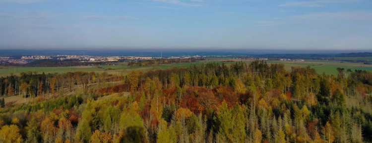 Rozhledna na Pekelném kopci za Třebíčí