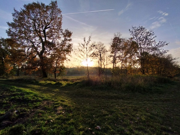 Rozhledna na Pekelném kopci za Třebíčí