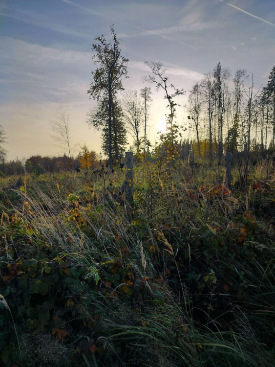 Rozhledna na Pekelném kopci za Třebíčí