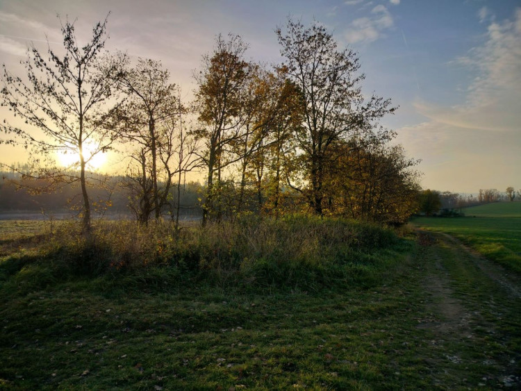 Rozhledna na Pekelném kopci za Třebíčí