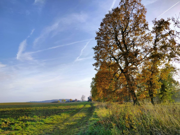Rozhledna na Pekelném kopci za Třebíčí