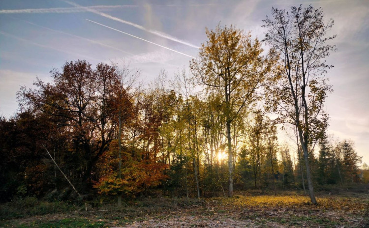 Rozhledna na Pekelném kopci za Třebíčí