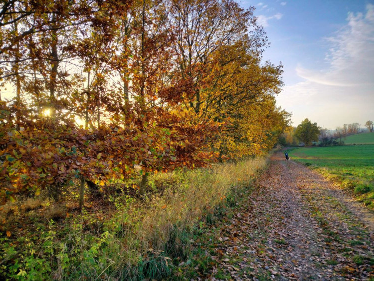 Rozhledna na Pekelném kopci za Třebíčí