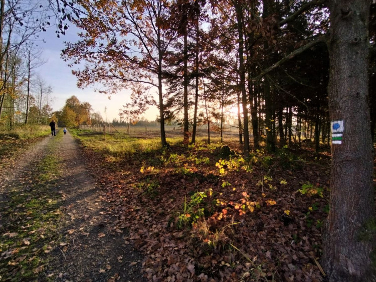 Rozhledna na Pekelném kopci za Třebíčí