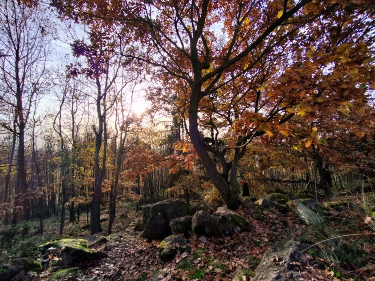 Rozhledna na Pekelném kopci za Třebíčí
