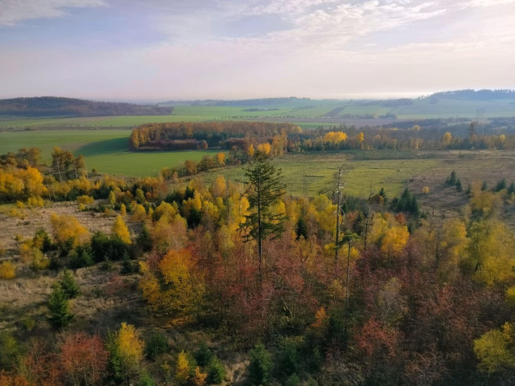 Rozhledna na Pekelném kopci za Třebíčí