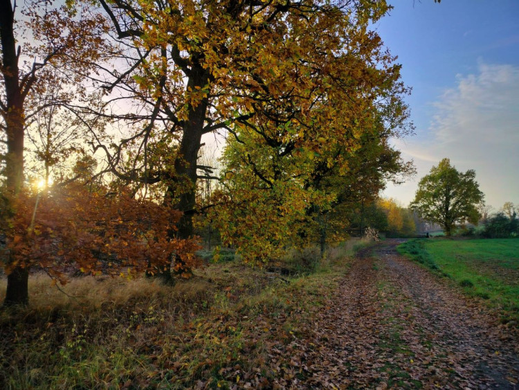 Rozhledna na Pekelném kopci za Třebíčí