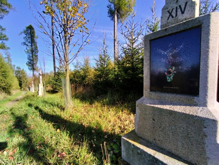 Procházka v okolí Stonařova