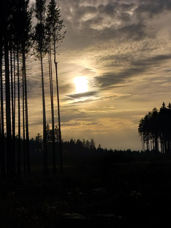 Procházka v okolí Stonařova