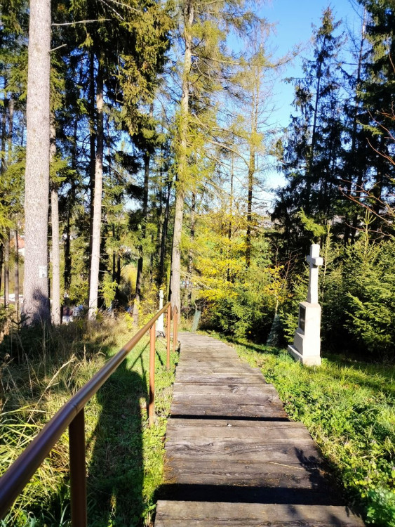 Procházka v okolí Stonařova