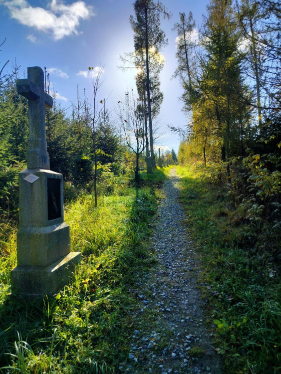 Procházka v okolí Stonařova