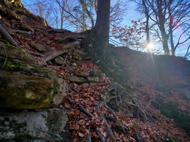 Zřícenina hradu Štamberk a kamenné moře
