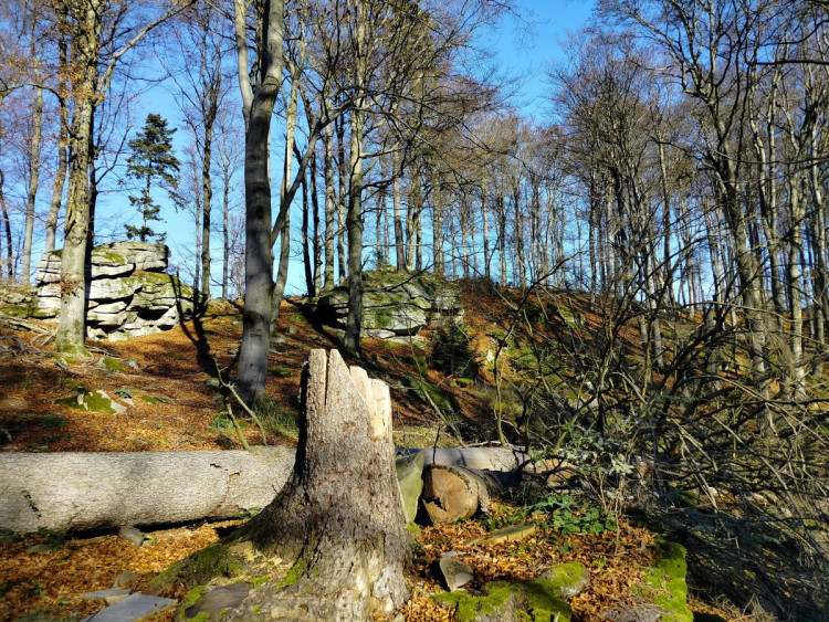 Zřícenina hradu Štamberk a kamenné moře
