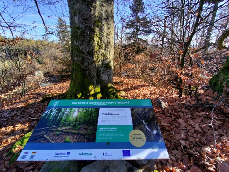 Zřícenina hradu Štamberk a kamenné moře