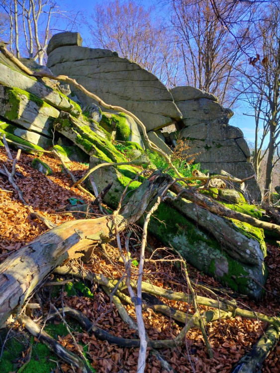 Zřícenina hradu Štamberk a kamenné moře